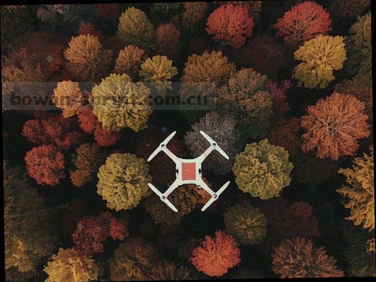 球员赛前热身的背影剪影，画面处理为墨绿与酒红两种色调